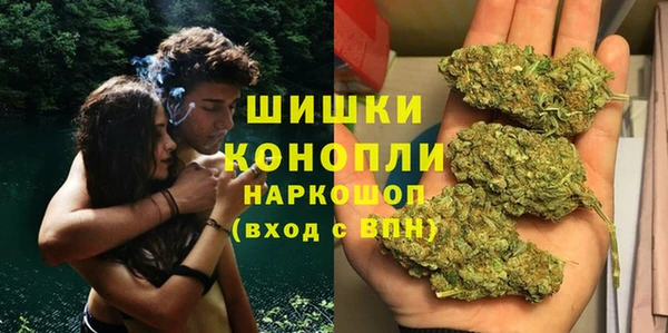 мдпв Магас