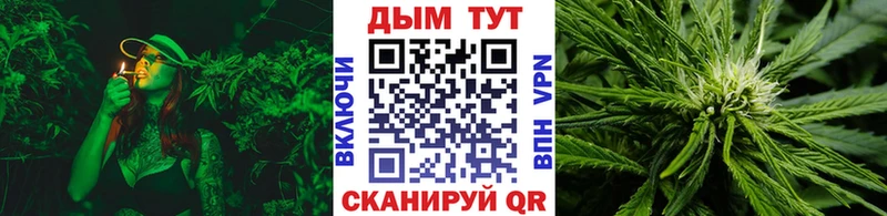 где продают наркотики Медвежьегорск Канабис сатива